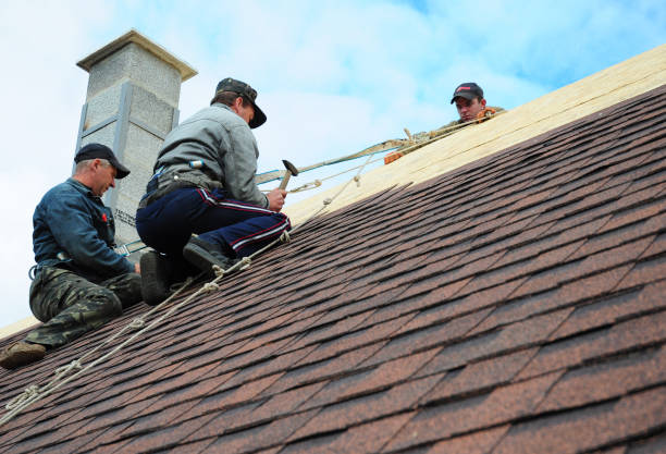 Best Commercial Roof Installation  in Winter Garden, FL